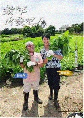 荒野求生记 户外综艺 影视猫